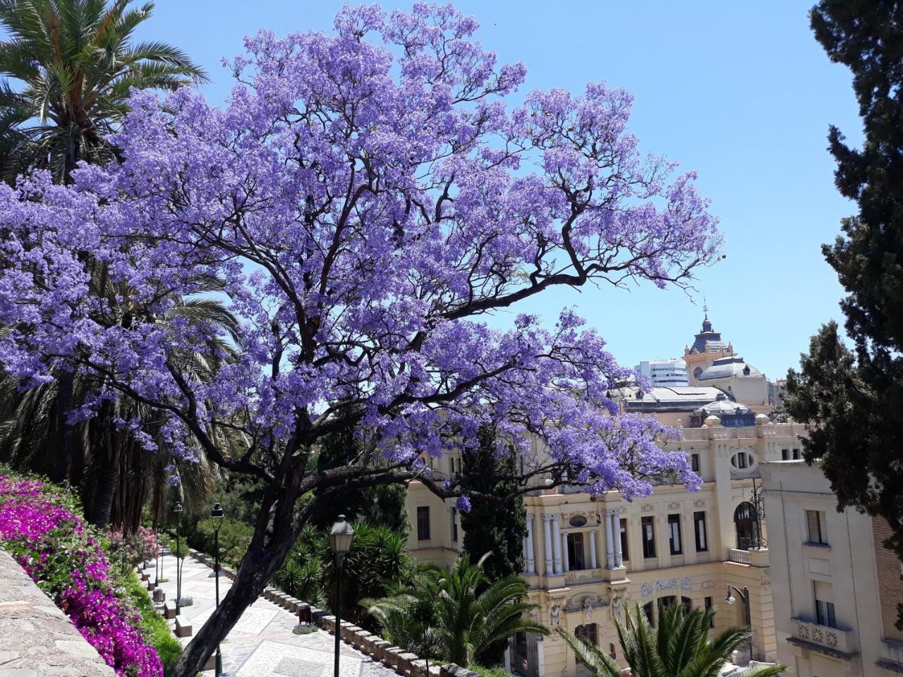 Stay Home & Away In The Heart Of Historical Town Of Μάλαγα Εξωτερικό φωτογραφία